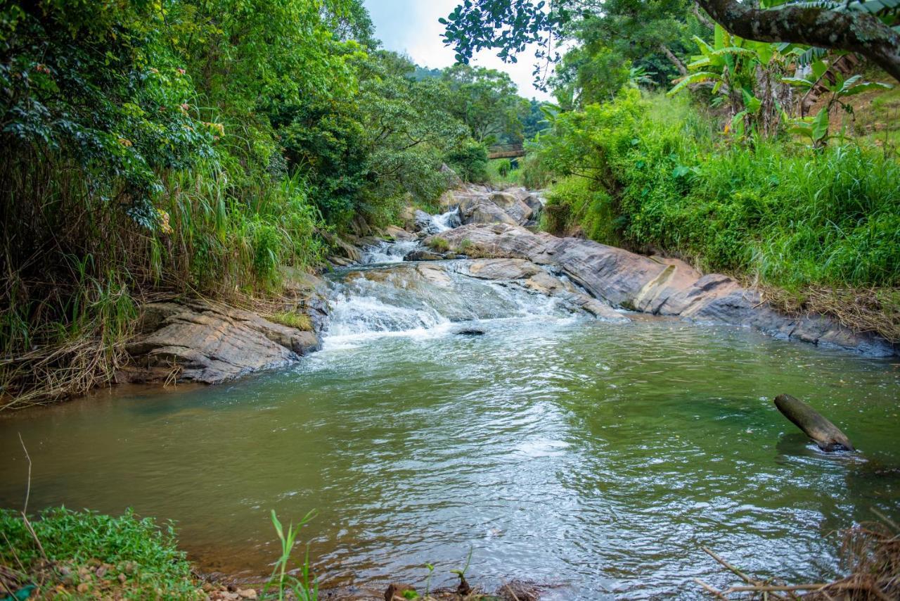 Ella Rock Grun Cottage Ngoại thất bức ảnh