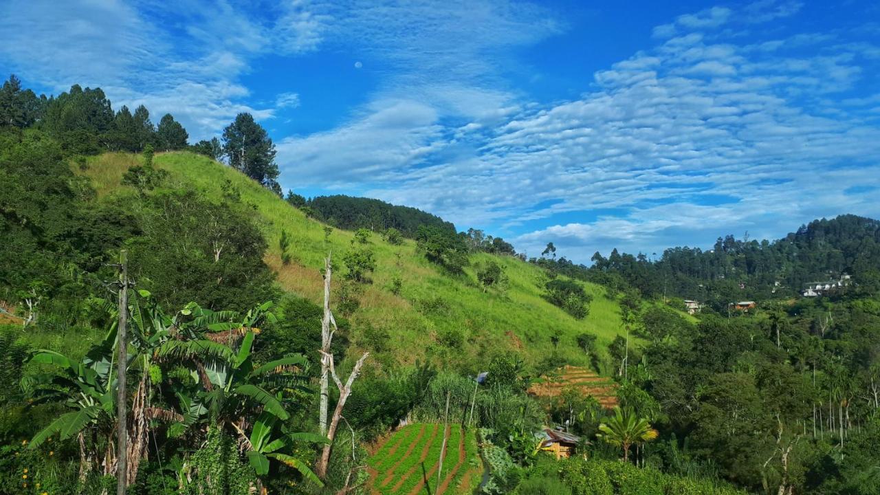 Ella Rock Grun Cottage Ngoại thất bức ảnh