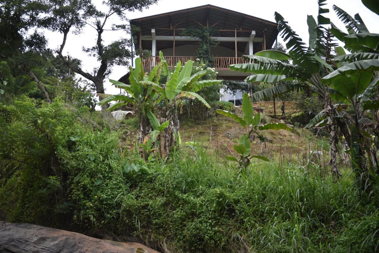 Ella Rock Grun Cottage Ngoại thất bức ảnh