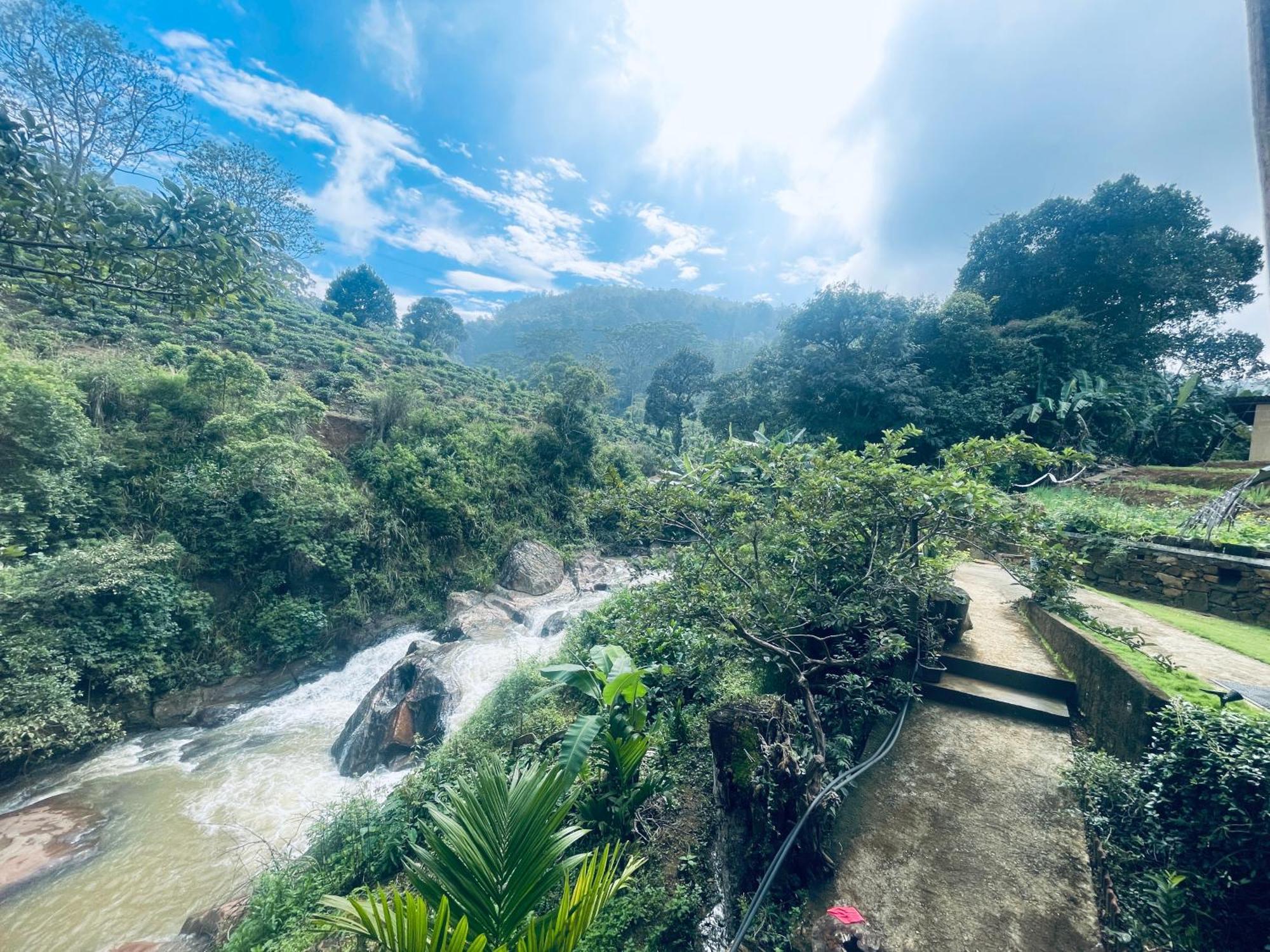 Ella Rock Grun Cottage Ngoại thất bức ảnh