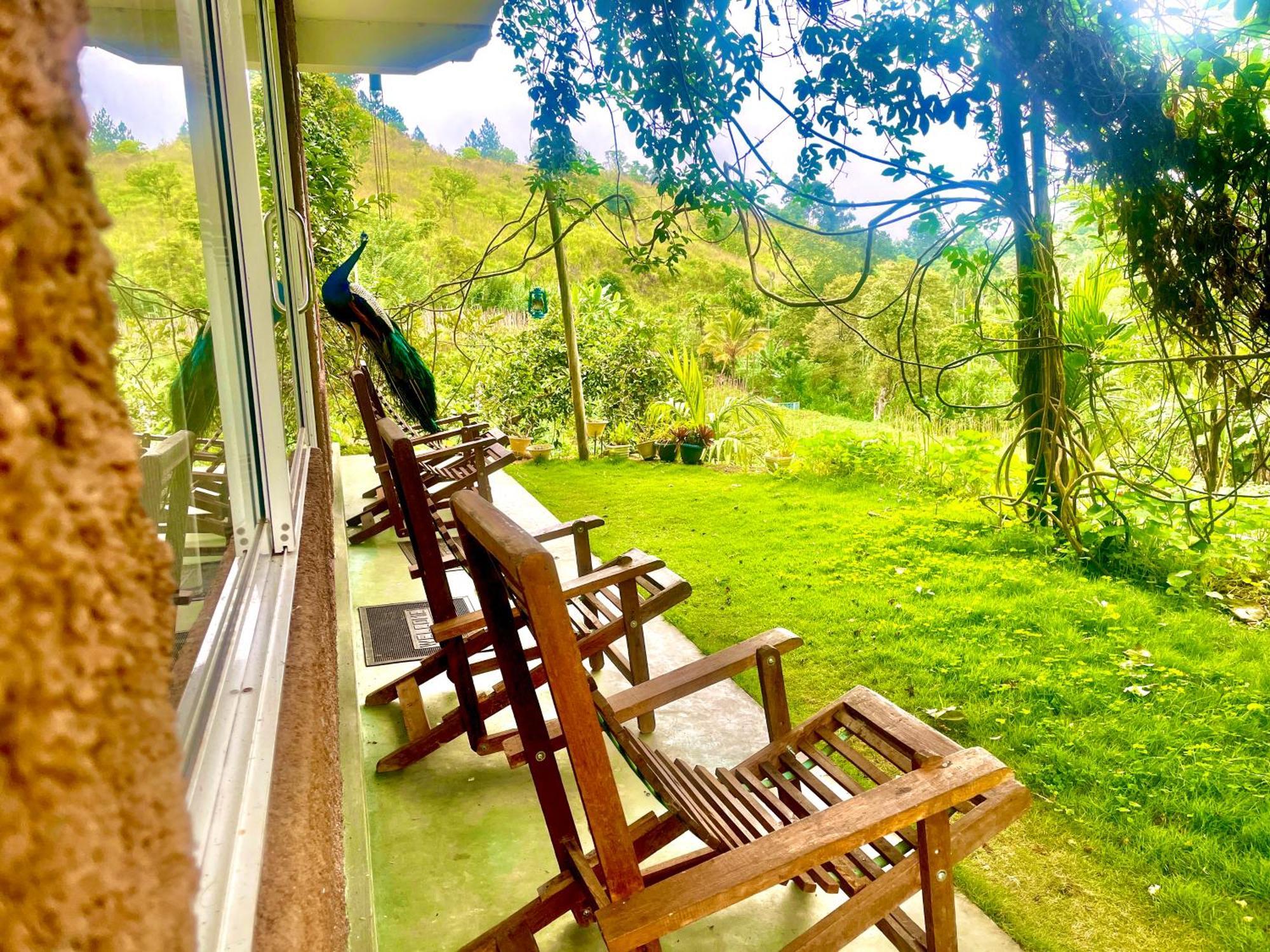 Ella Rock Grun Cottage Ngoại thất bức ảnh